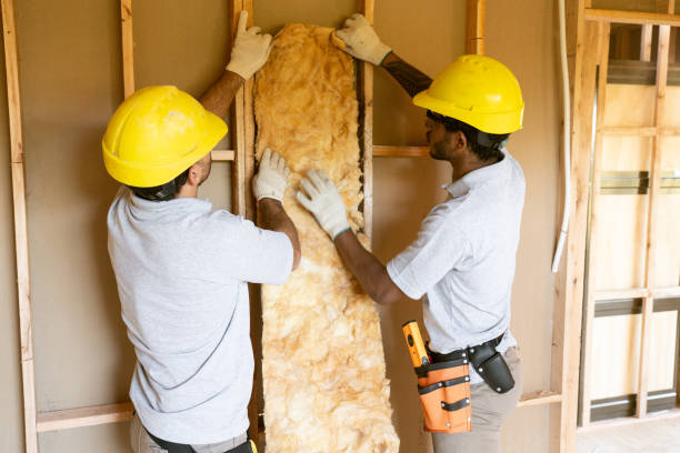 Best Eco-Friendly or Green Insulation Solutions in USA